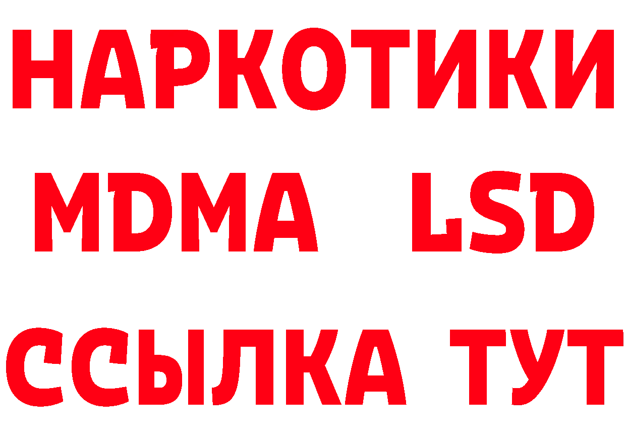 Галлюциногенные грибы Psilocybe как войти даркнет МЕГА Красноярск